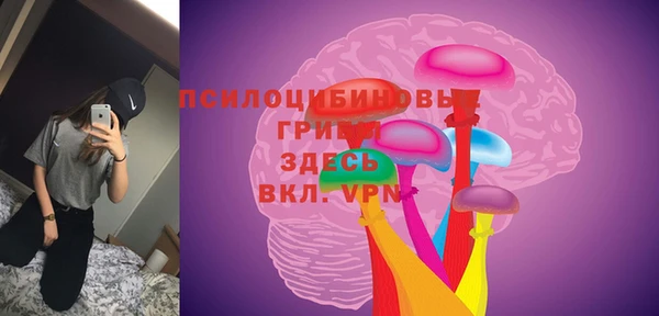 PSILOCYBIN Орск