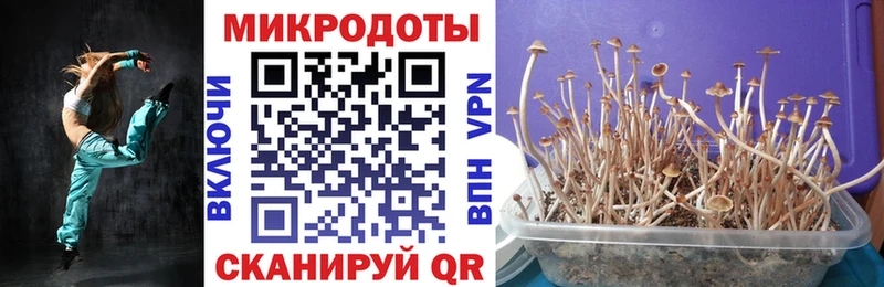 что такое   мега онион  Псилоцибиновые грибы мухоморы  Вилючинск 